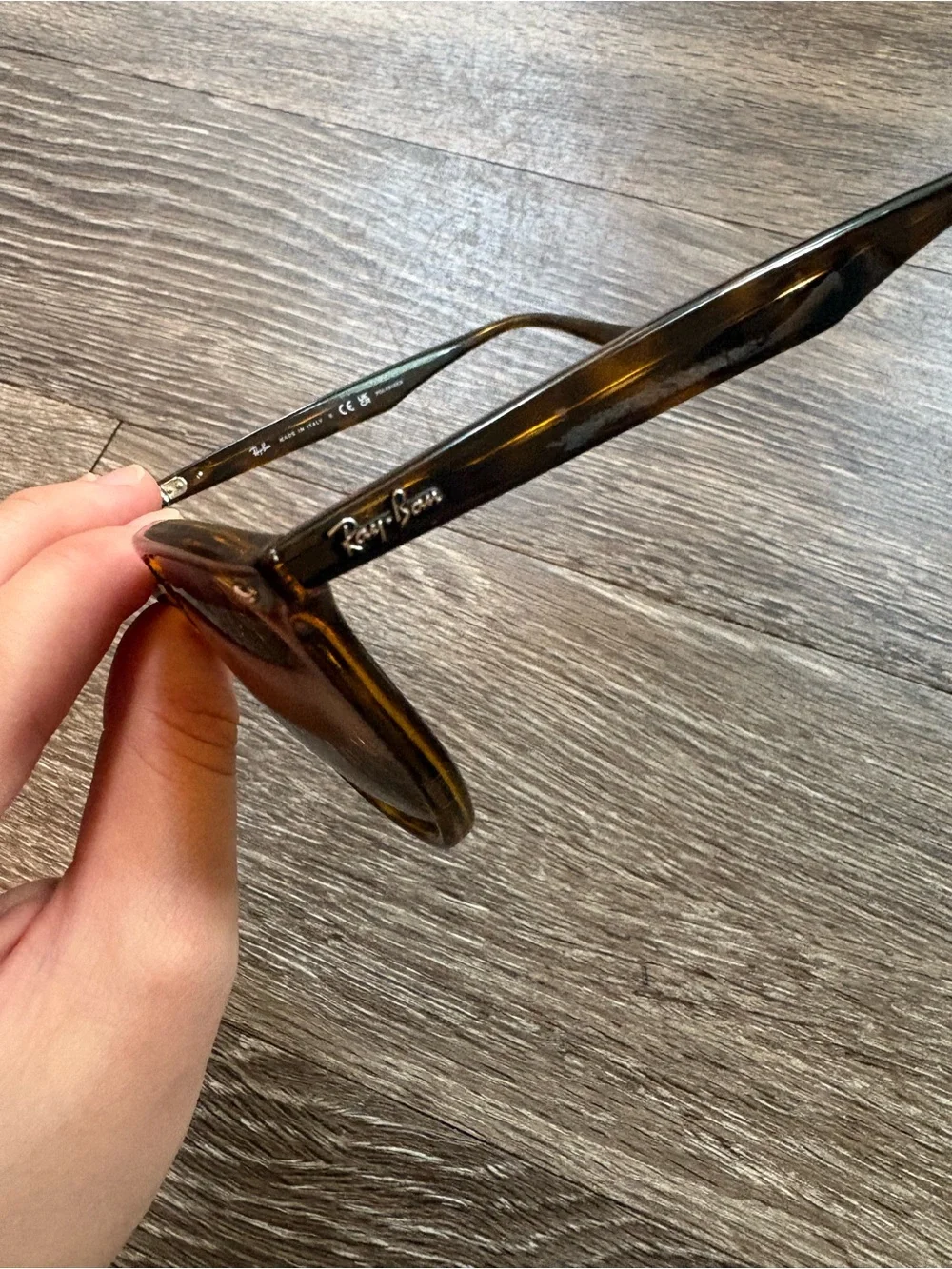 Ray-Ban Men’s Brown Frame Sunglasses